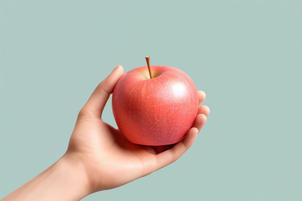 Apple holding fruit plant. 