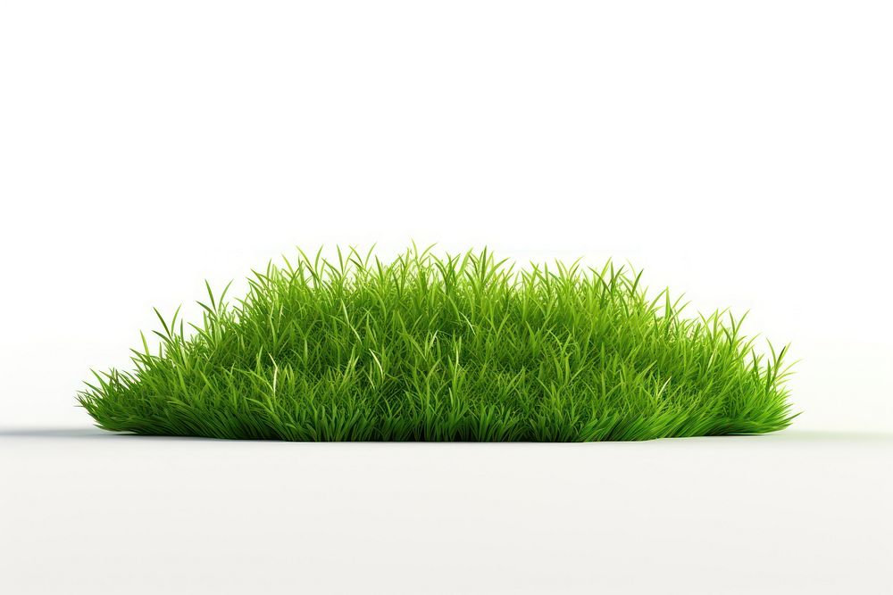 Lawn grass plant white background. AI generated Image by rawpixel.