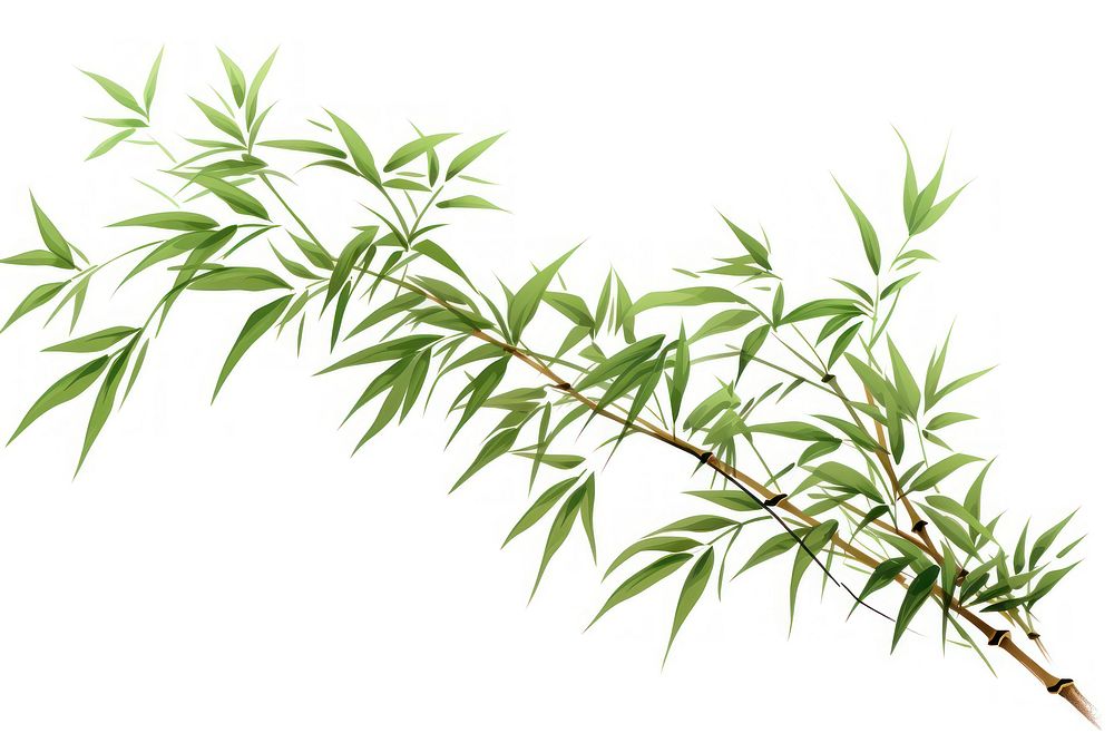 Bamboo plant leaf tree. AI generated Image by rawpixel.