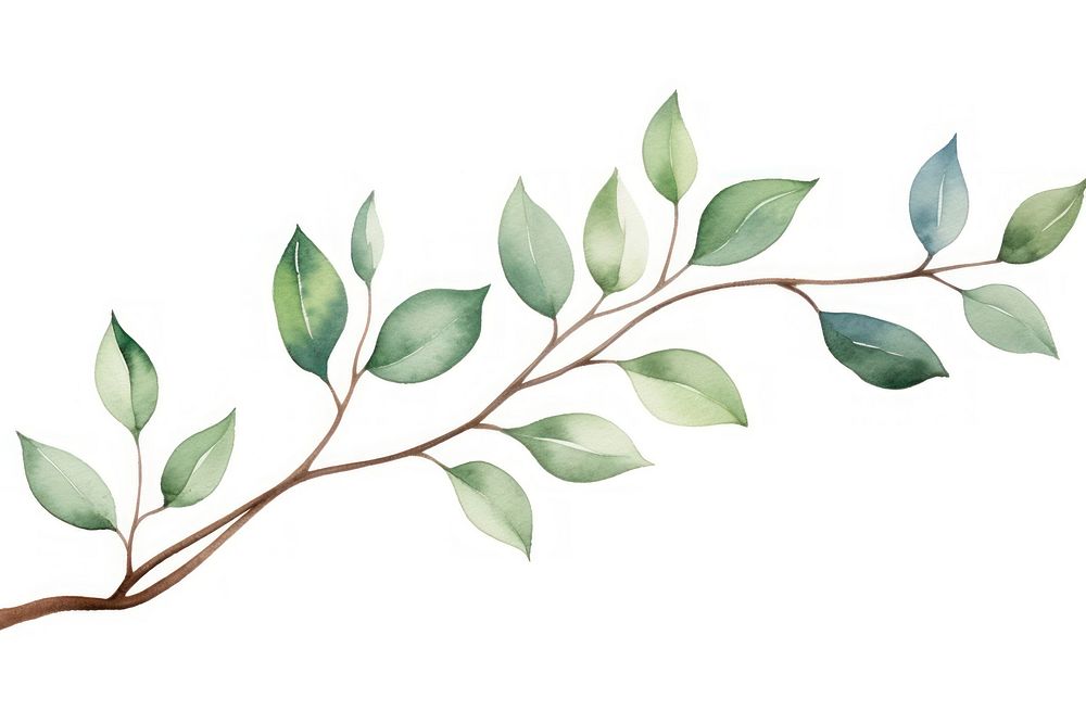 Branch plant leaf white background. AI generated Image by rawpixel.