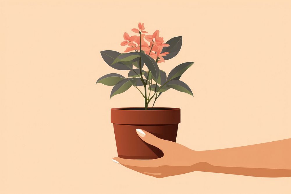 Plant holding flower hand. AI generated Image by rawpixel.