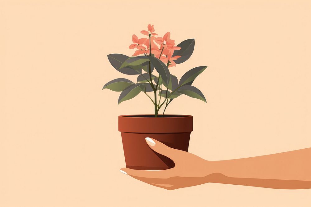 Plant holding flower hand. 