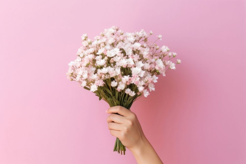 Blossom holding flower plant. 