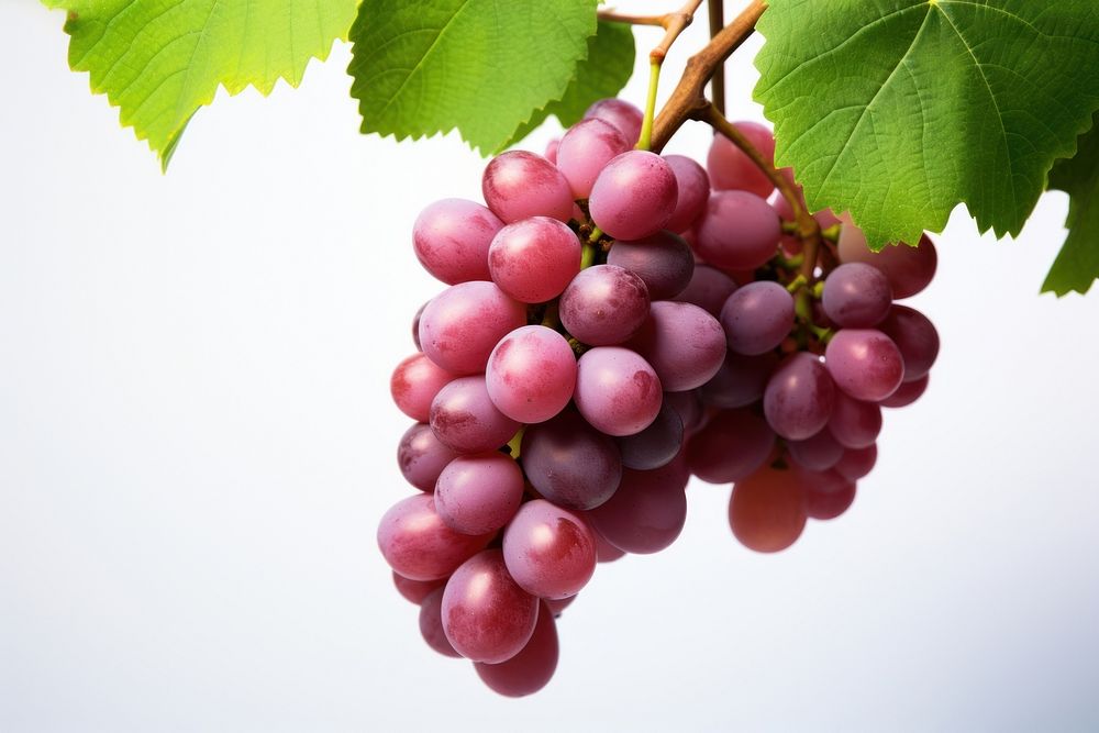 Grapes hanging branch bunch. AI generated Image by rawpixel.