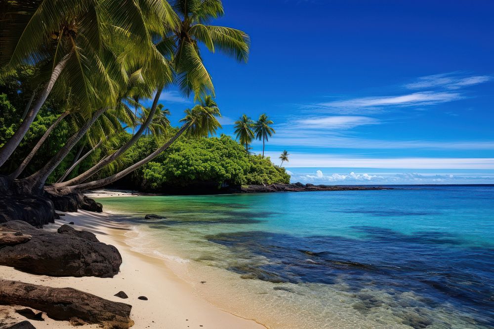 Beach outdoors tropical tropics. AI generated Image by rawpixel.