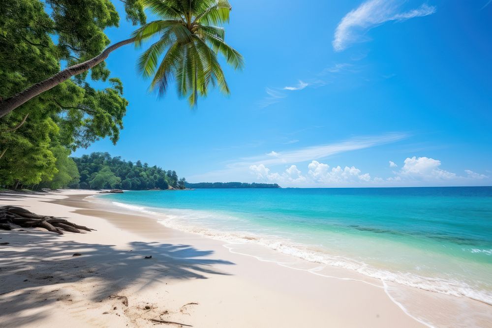 Beach landscape outdoors horizon. 