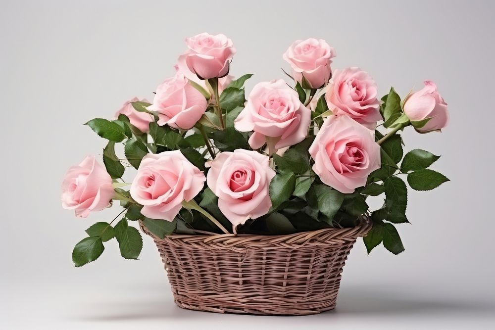 Rose flower basket plant. AI generated Image by rawpixel.