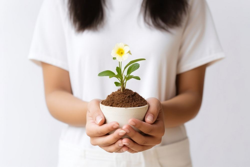 Gardening flower nature adult. 