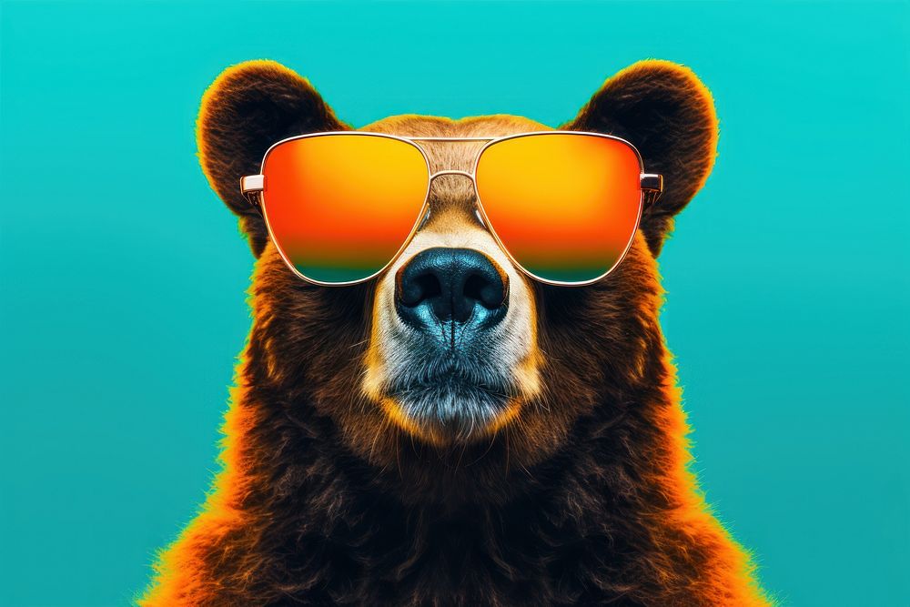 Sunglasses bear mammal animal. 