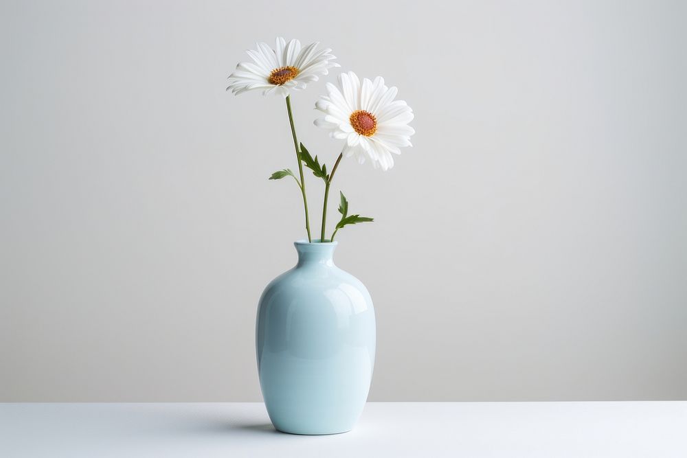 Daisy vase flower plant. AI generated Image by rawpixel.