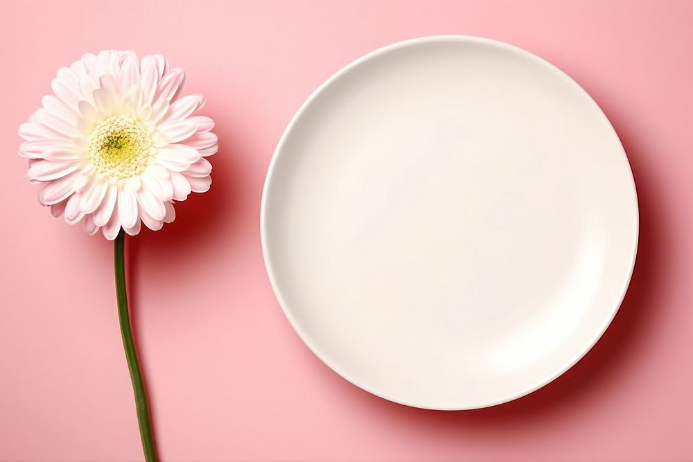 Flower plate white petal. AI generated Image by rawpixel.