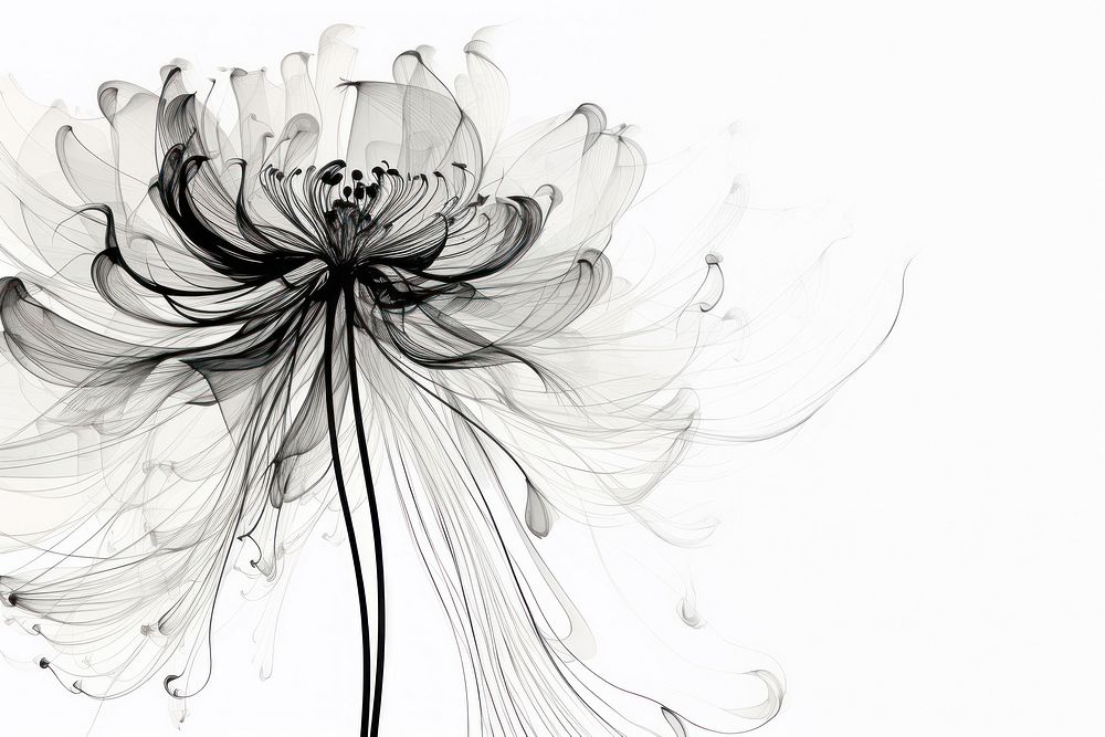 Drawing flower abstract sketch