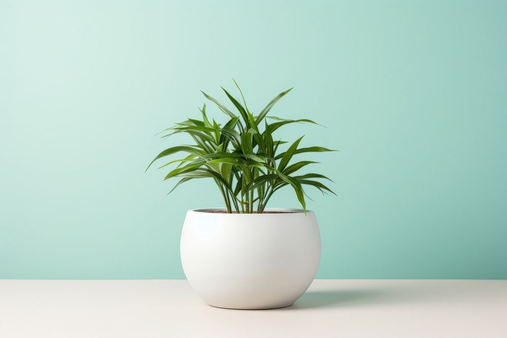 Plant nature leaf vase. AI generated Image by rawpixel.