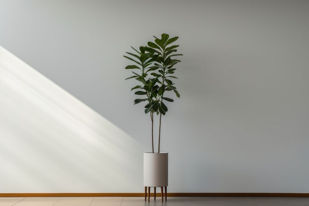Nature plant vase tree. AI generated Image by rawpixel.