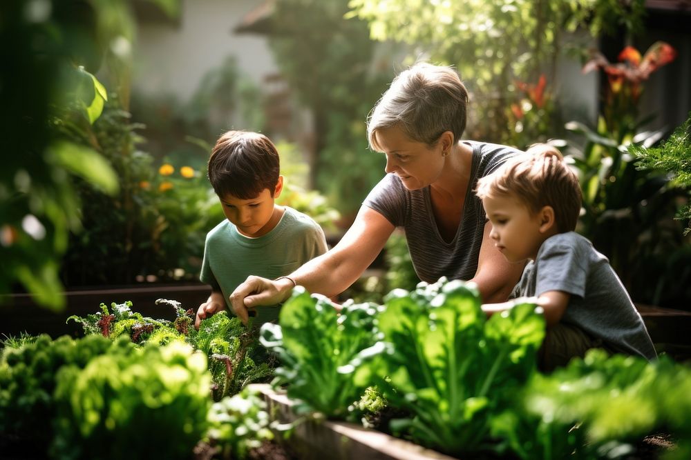 Gardening vegetable outdoors nature. AI generated Image by rawpixel.