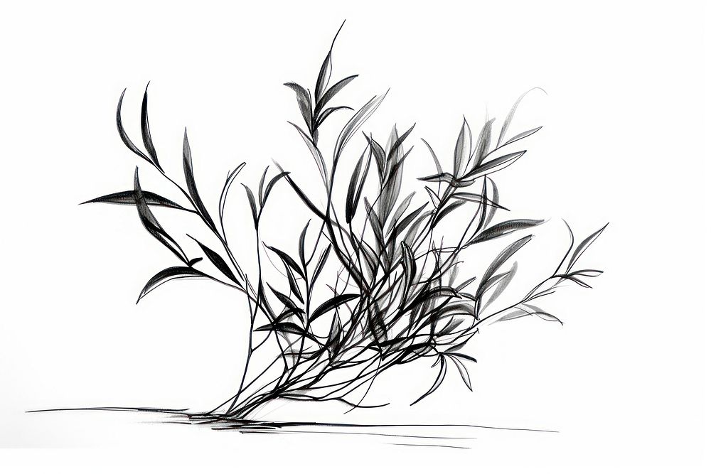 Sketch plant drawing line. AI generated Image by rawpixel.