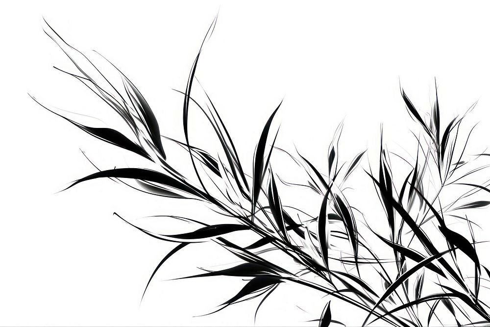 Sketch plant pattern drawing. AI generated Image by rawpixel.