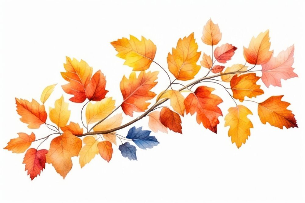 Autumn leaves plant leaf. AI generated Image by rawpixel.