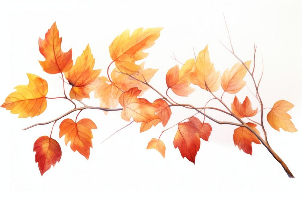 Autumn plant maple leaf. AI generated Image by rawpixel.