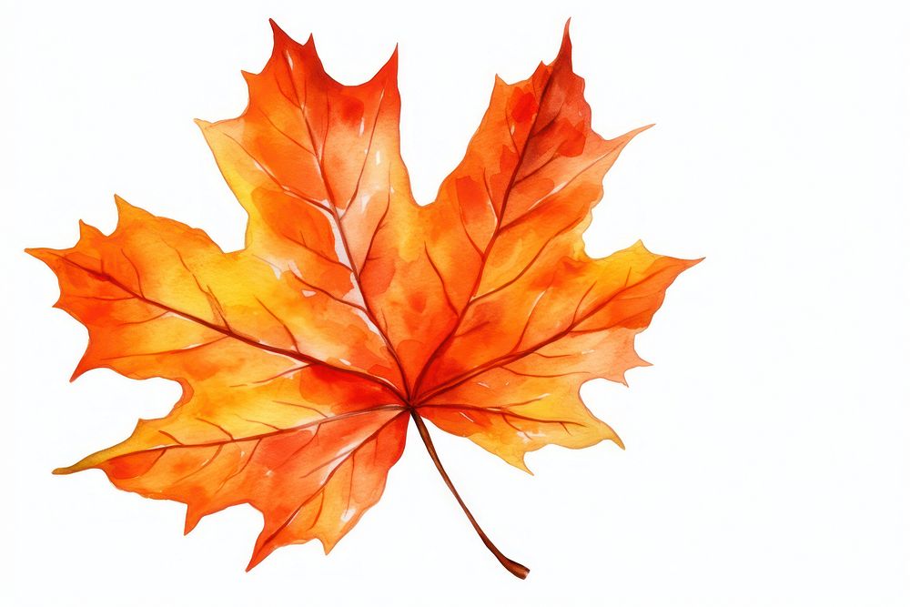 Maple leaf autumn plant. AI generated Image by rawpixel.