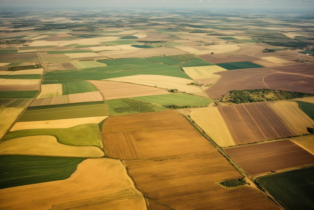 Farm countryside outdoors nature. 