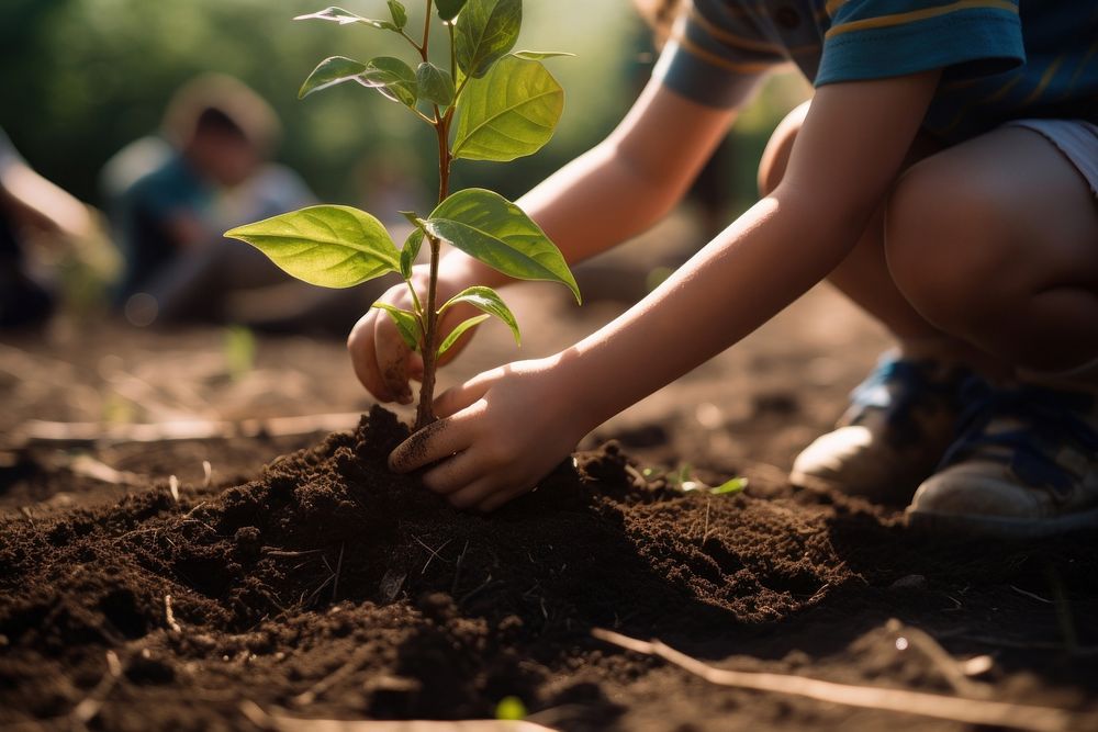 Planting gardening outdoors nature. 