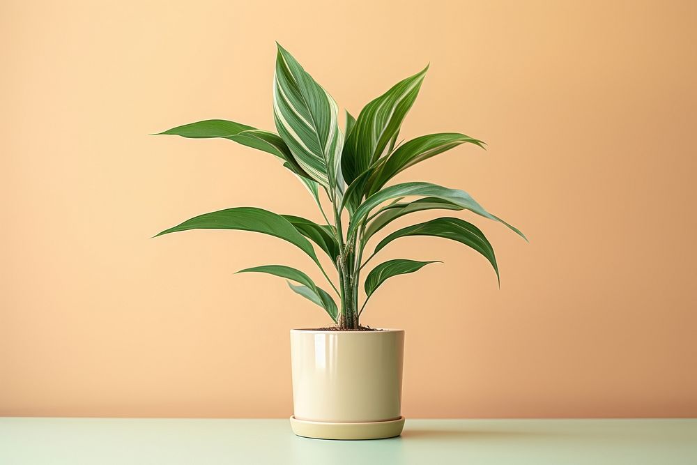 Plant houseplant leaf freshness. AI generated Image by rawpixel.