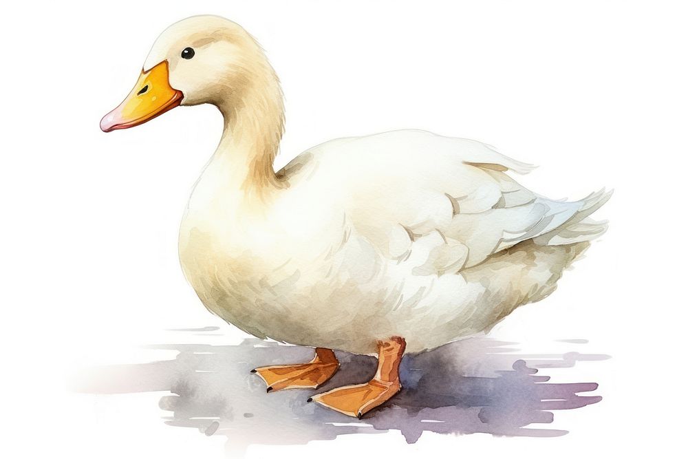 Duck animal goose white. AI generated Image by rawpixel.