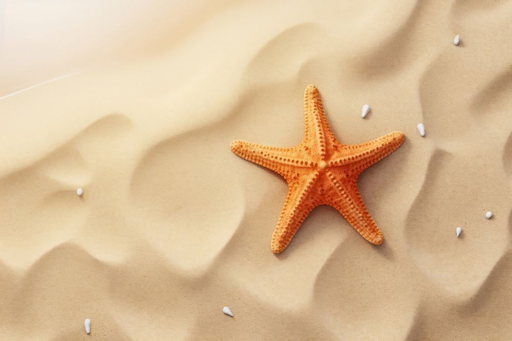 Starfish backgrounds summer beach. AI generated Image by rawpixel.