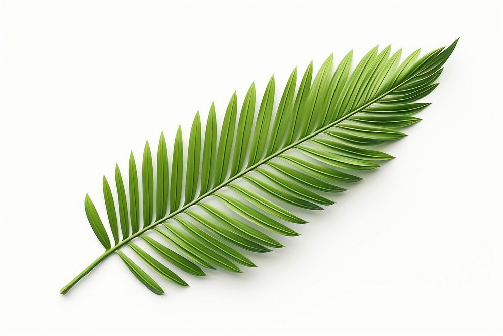 Leaf plant fern tree. AI generated Image by rawpixel.