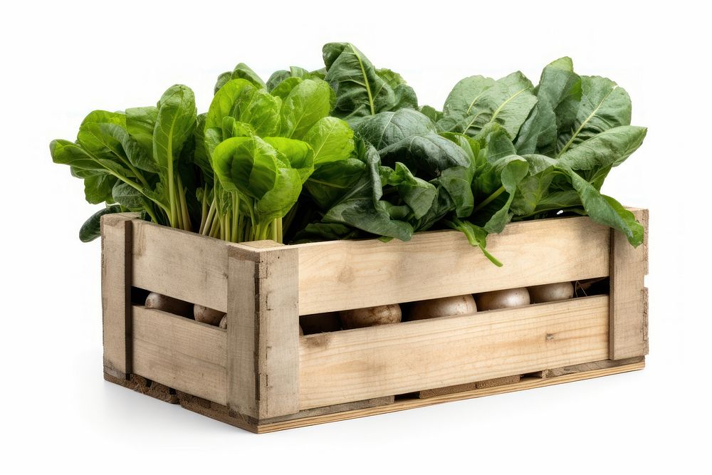 Vegetable crate spinach plant. AI generated Image by rawpixel.