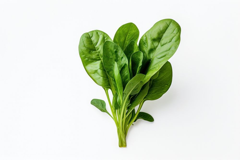 Spinach vegetable plant food. AI generated Image by rawpixel.