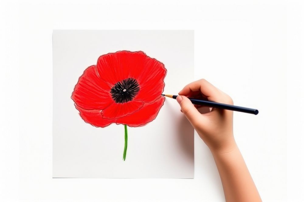 Poppy flower plant paper. AI generated Image by rawpixel.