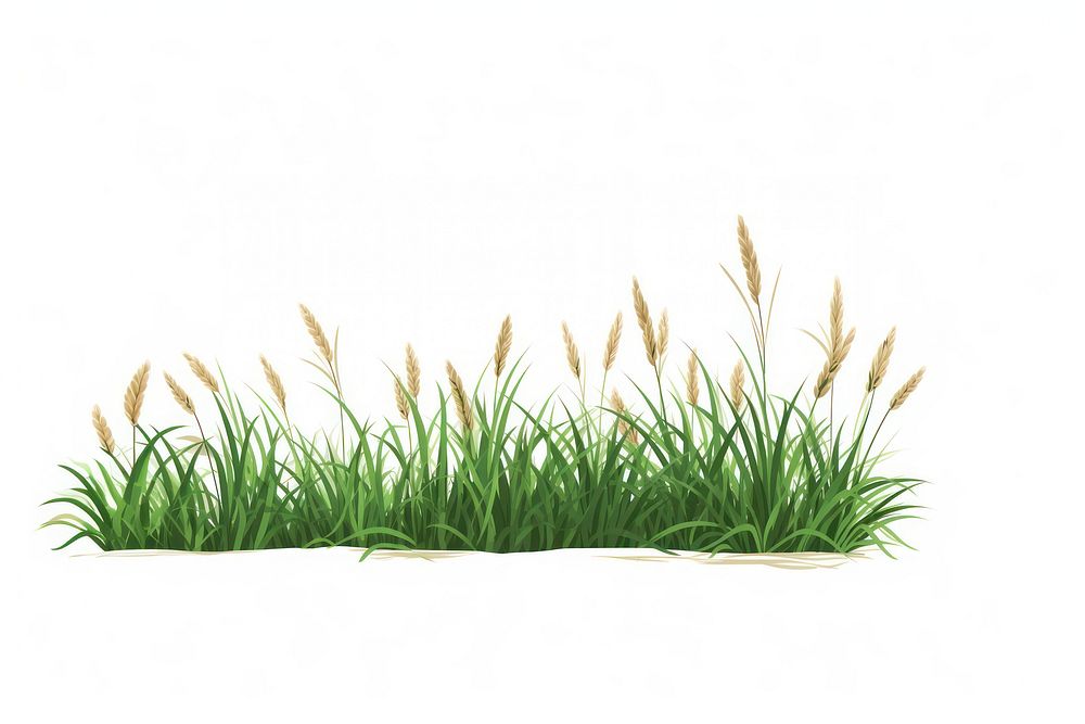 Grass plant white background tranquility. AI generated Image by rawpixel.