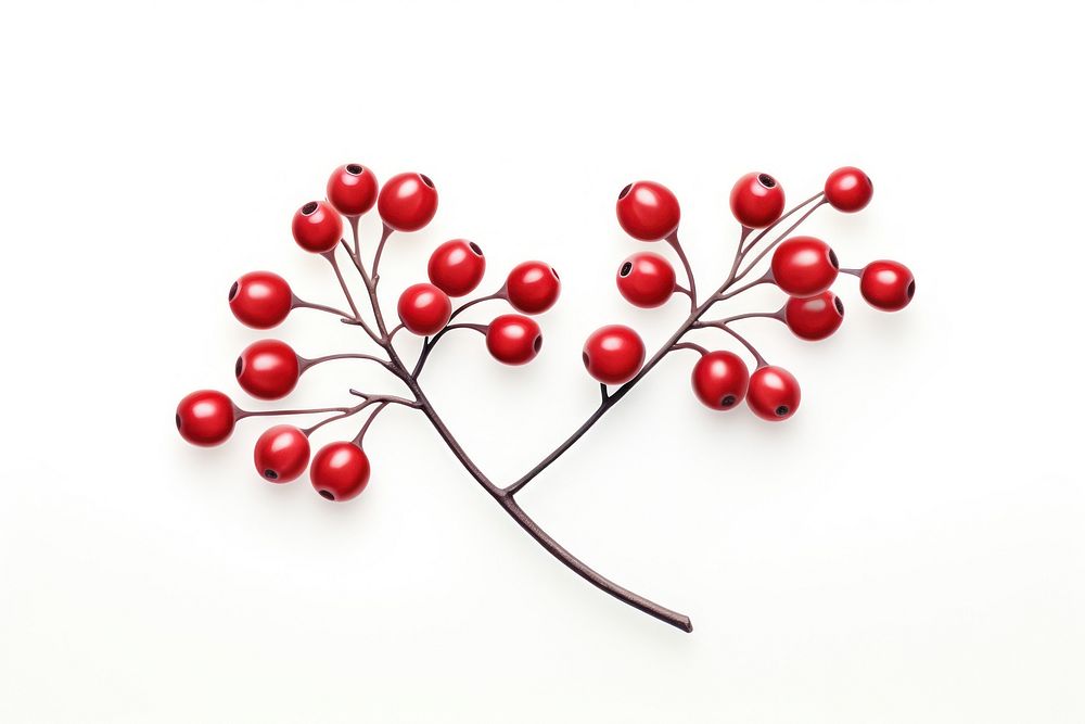 Winterberry cherry plant fruit. AI generated Image by rawpixel.