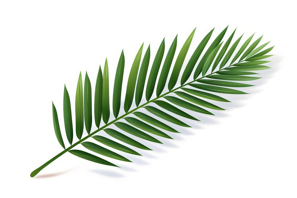 Plant leaf tree white background. AI generated Image by rawpixel.