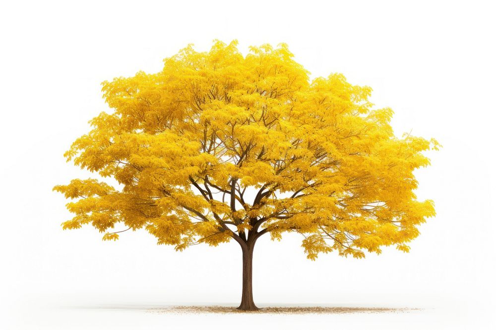 Tree yellow plant maple. AI generated Image by rawpixel.