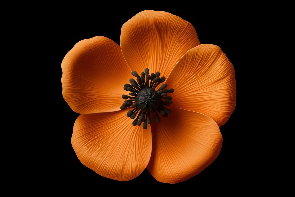 Flower poppy pollen petal. AI generated Image by rawpixel.