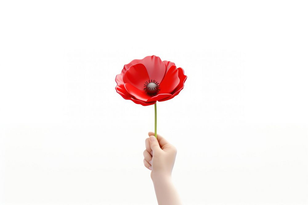 Flower poppy holding petal. AI generated Image by rawpixel.