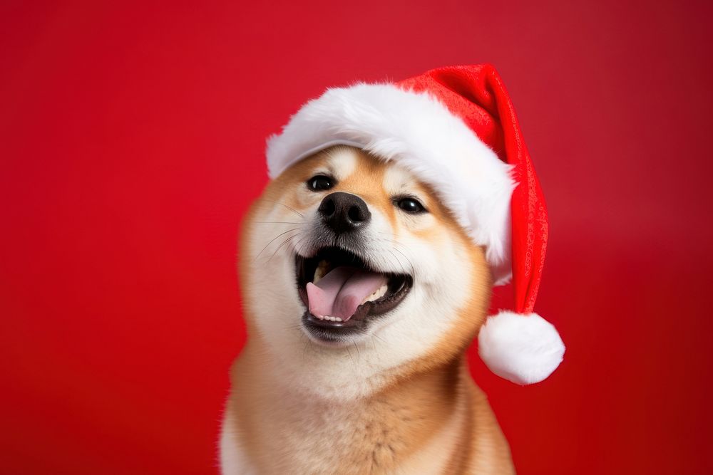 Christmas mammal animal puppy. 