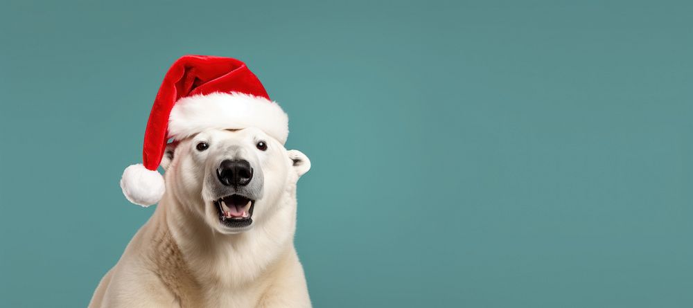 Polar bear christmas mammal animal. AI generated Image by rawpixel.
