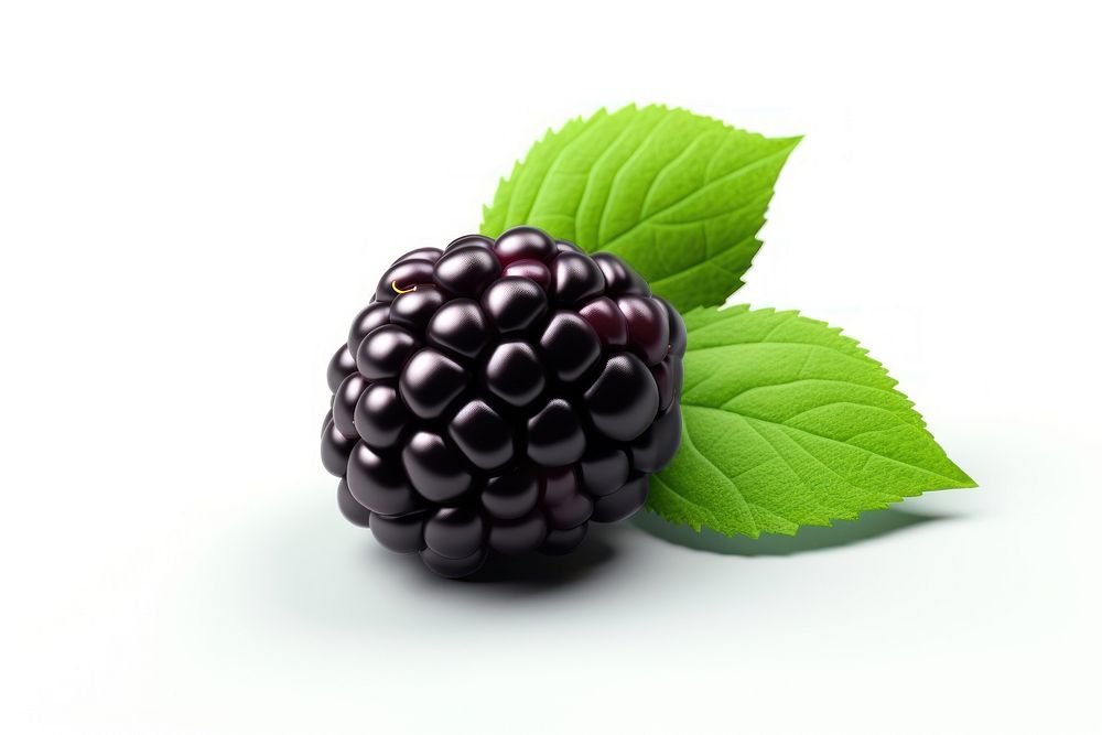 Blackberry fruit plant food. AI generated Image by rawpixel.