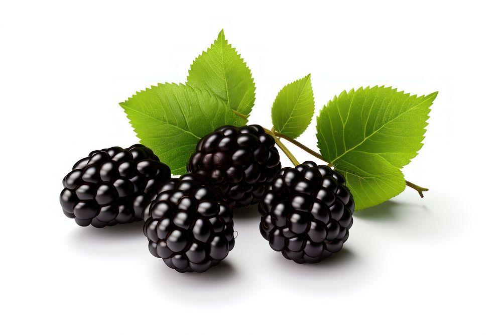 Blackberry fruit plant food. AI generated Image by rawpixel.