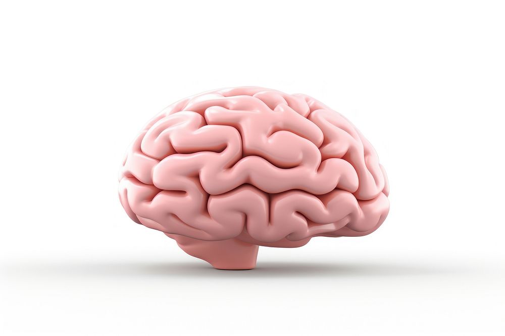 Brain white background freshness medical. AI generated Image by rawpixel.