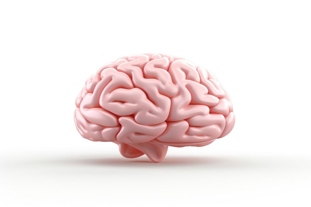 Brain white background freshness medical. AI generated Image by rawpixel.