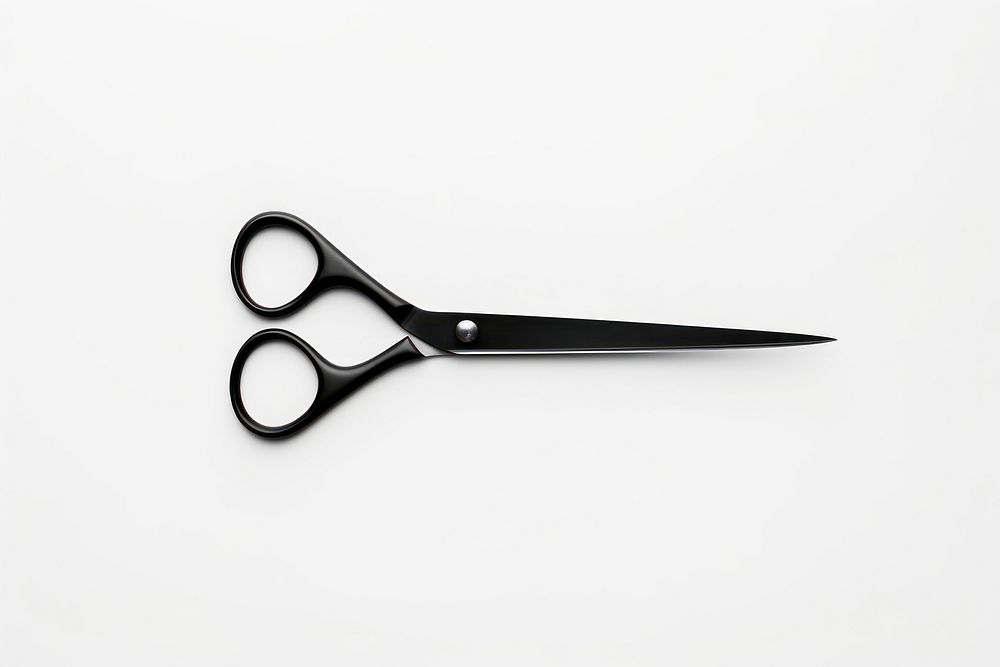 Scissors black white background equipment. 