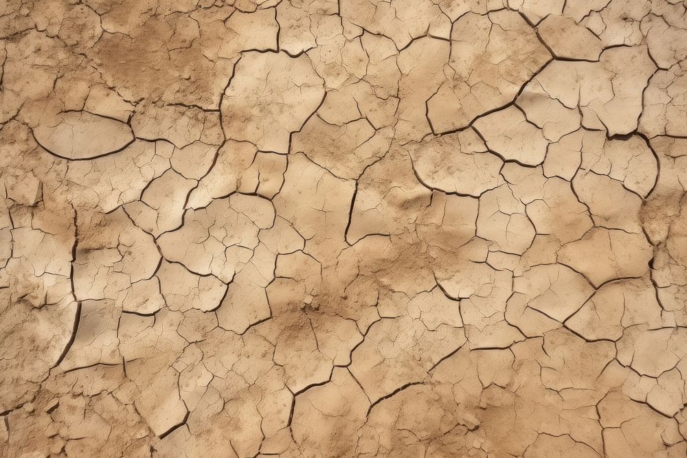 Soil texture dry mud. AI generated Image by rawpixel.