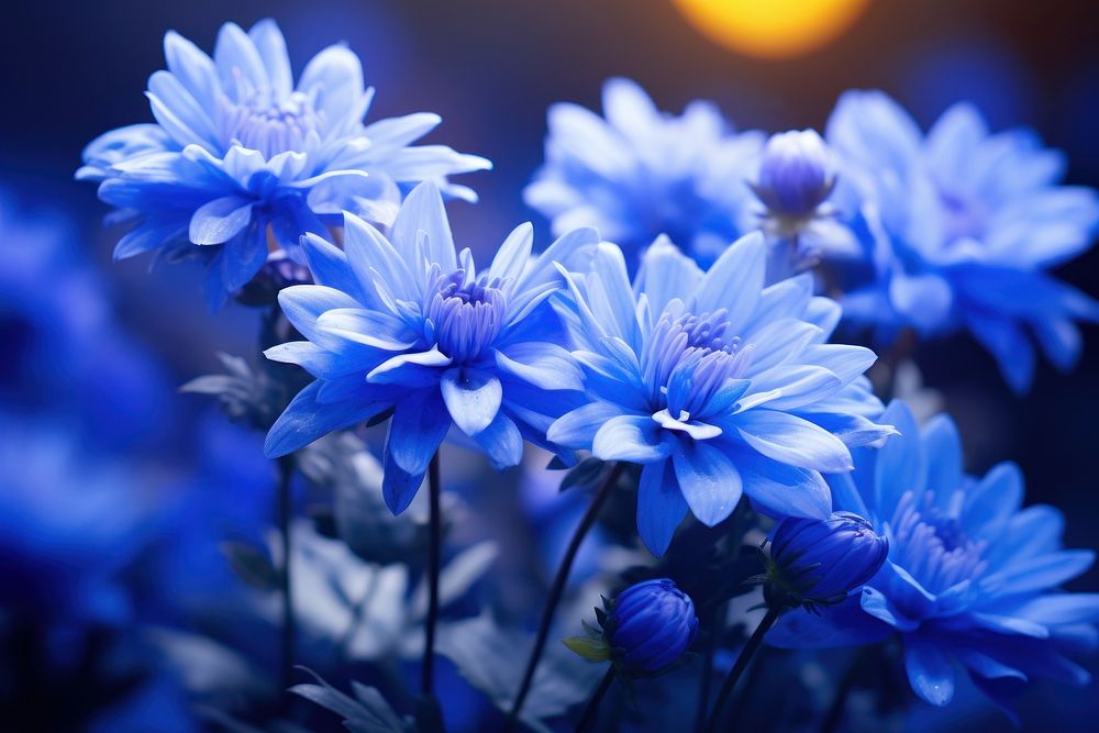 Blue outdoors blossom flower. AI generated Image by rawpixel.