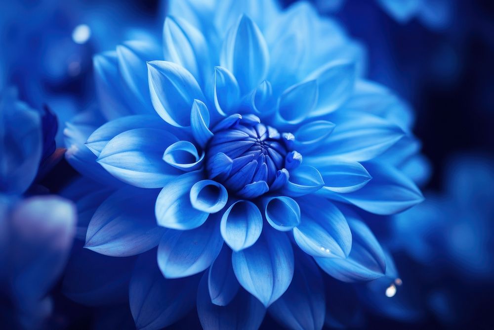 Blue inflorescence monochrome freshness. AI generated Image by rawpixel.
