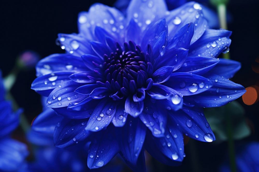 Blue blossom flower plant. AI generated Image by rawpixel.